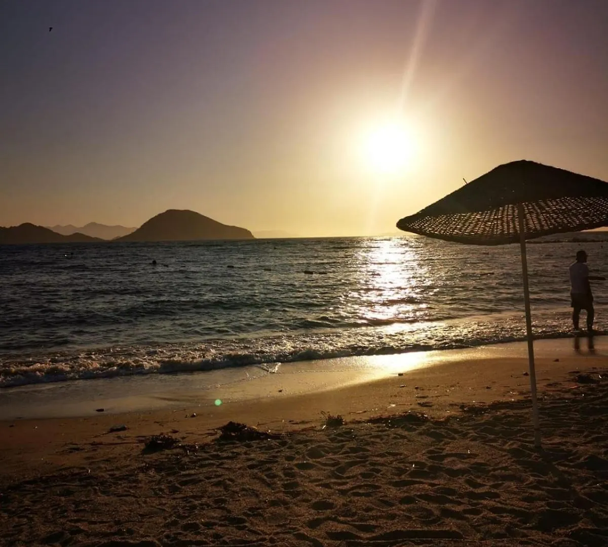 Apartman 300M To Beach 2 Bedroom Garden Floor Flat With Pool - Yeni Duenya Bodrum A1